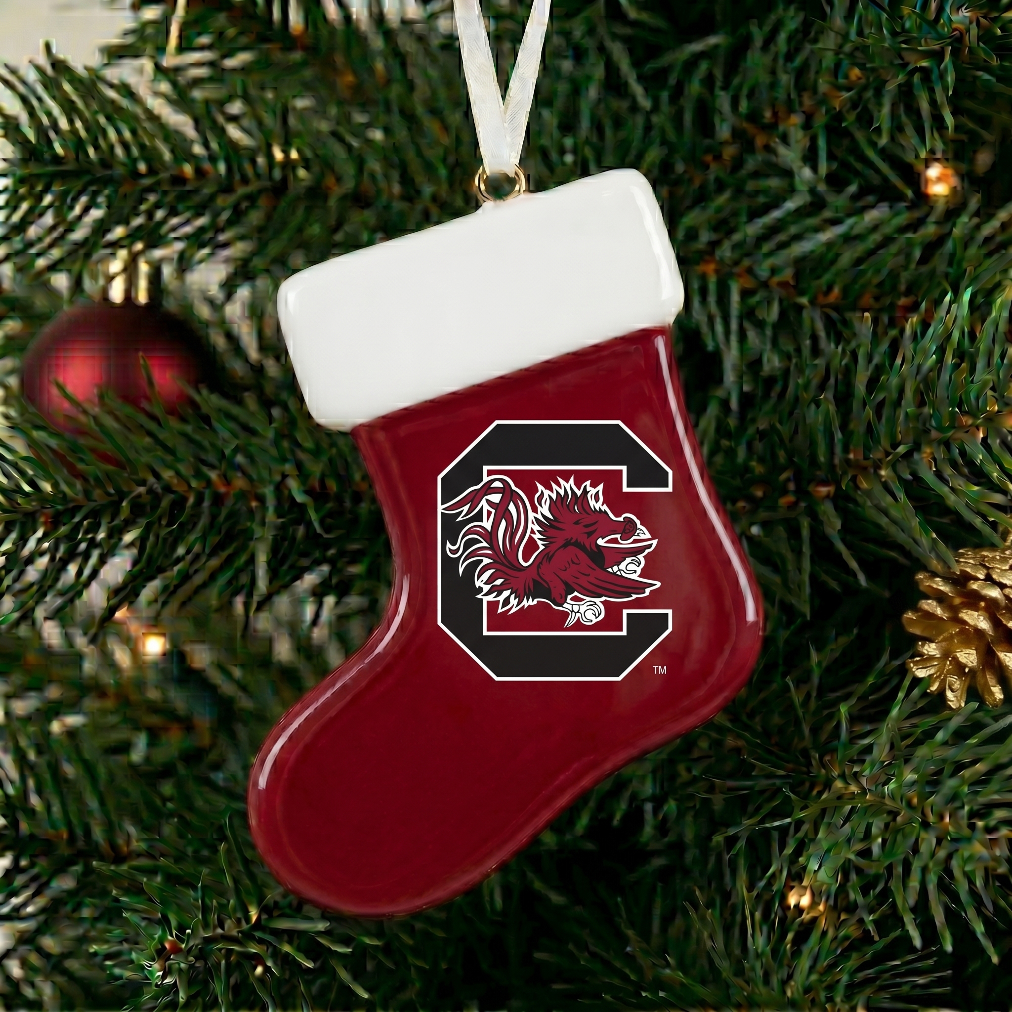 Logo Stocking - South Carolina